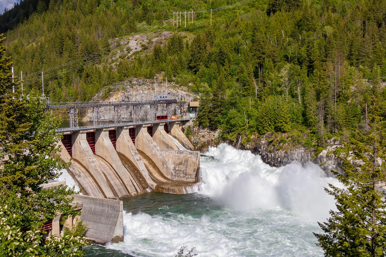 hydroelectric dam, river, trees, forest, water, dam, mountains, nature, hydroelectric dam, hydroelectric dam, hydroelectric dam, hydroelectric dam, hydroelectric dam, trees, dam