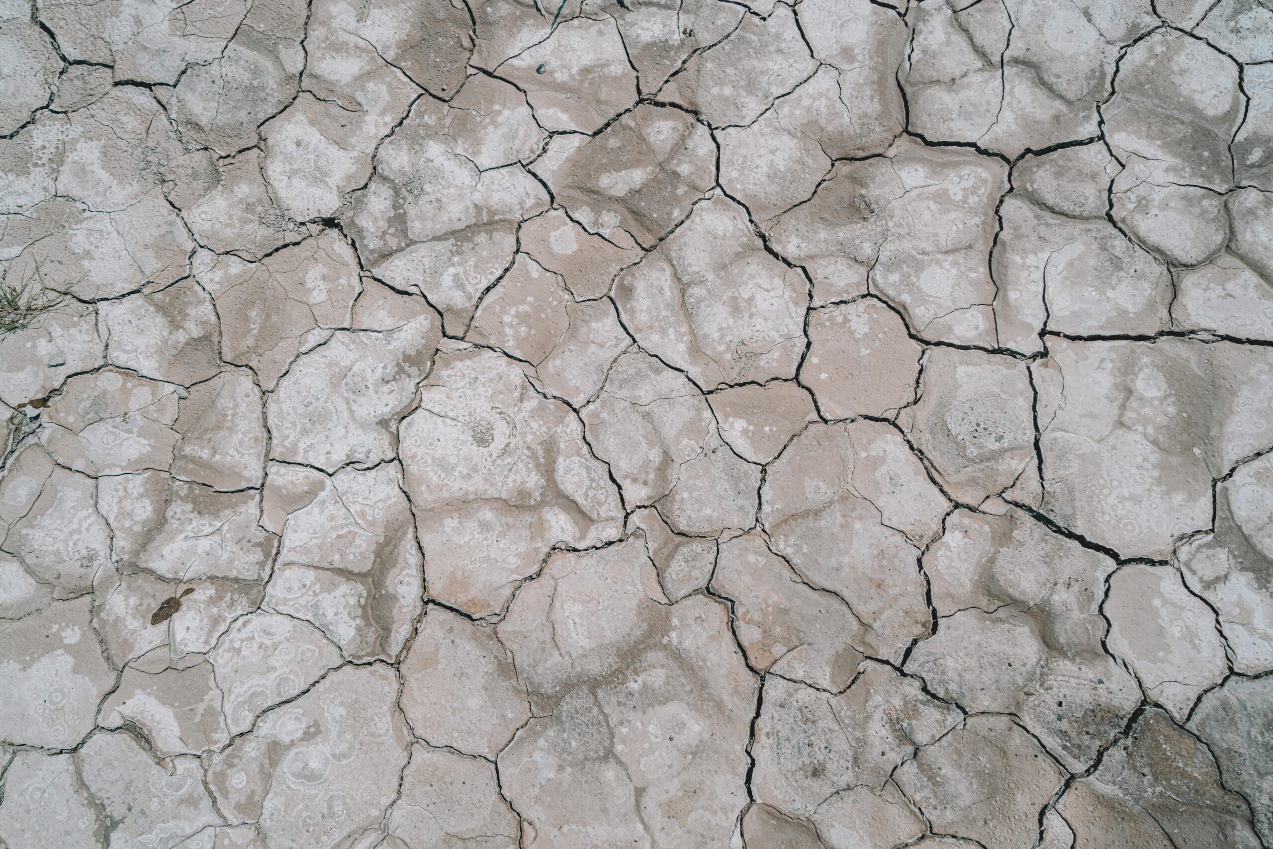 A close-up view of cracked desert soil illustrating drought and arid conditions.